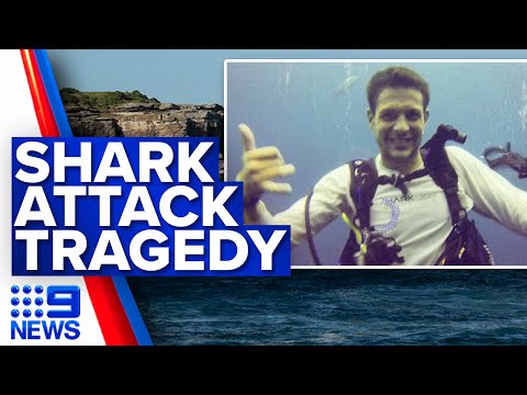 Shark attack victim identified as 35-year-old diving instructor | 9 News Australia