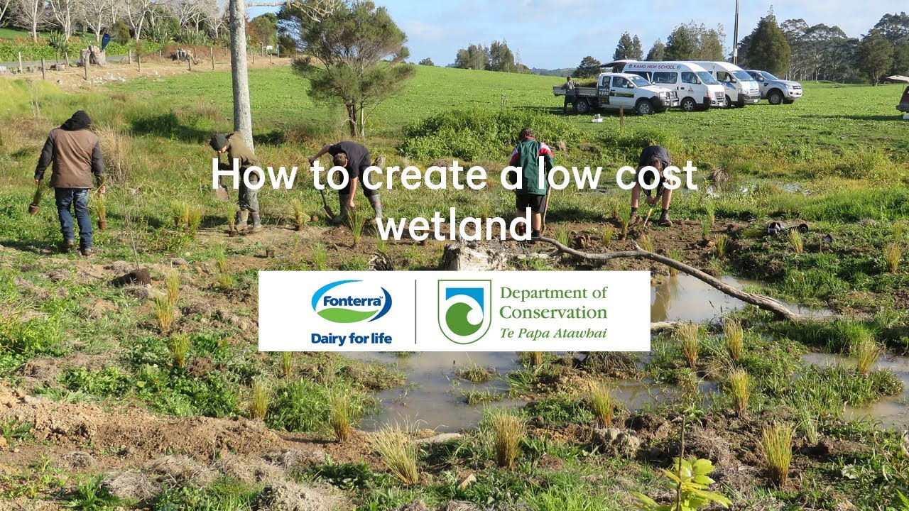 How to build a low cost wetland (step by step) - YouTube