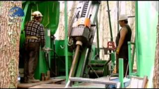 DESDE CABANA PARA O MUNDO_TVG