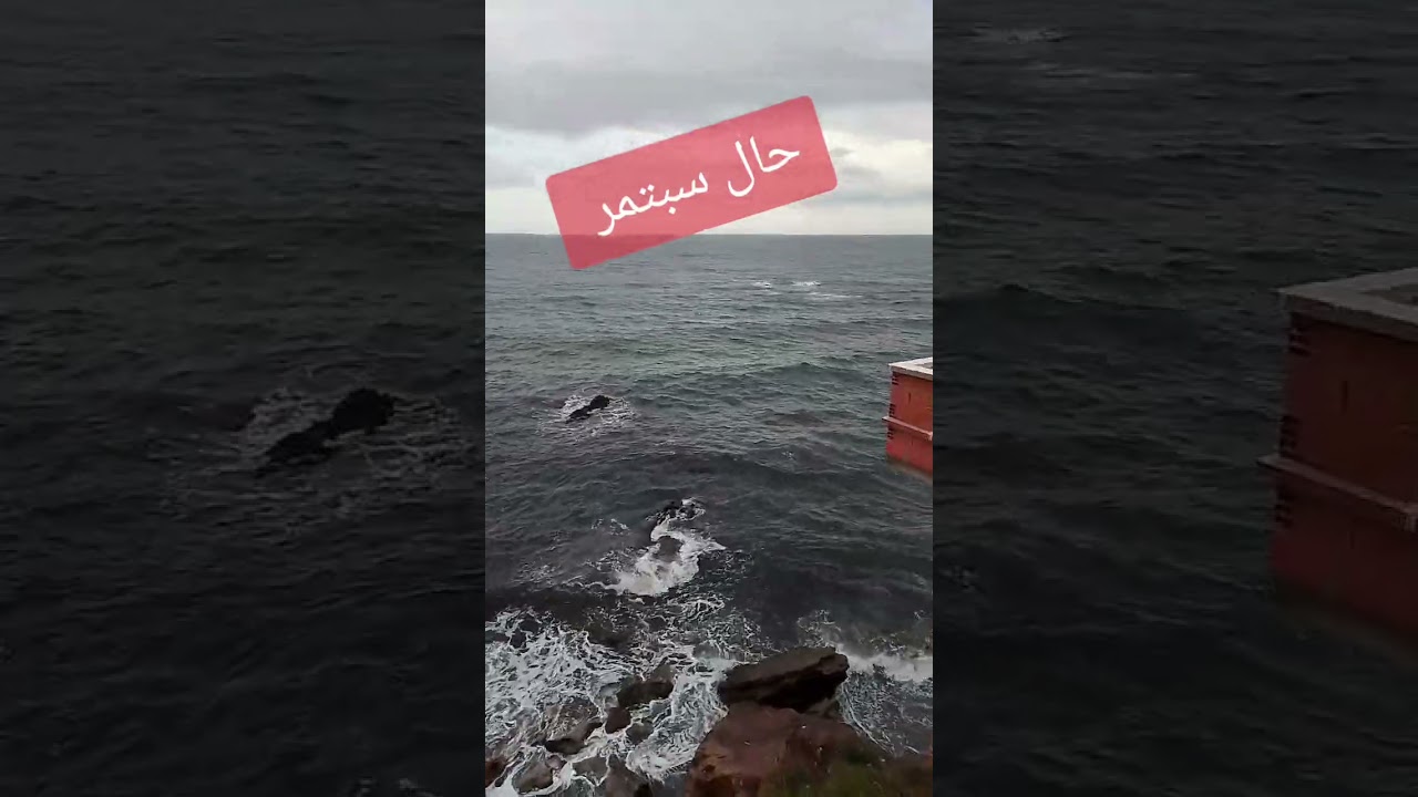 #algerie #اكسبلور #الرحمن #motivation #افلام #humor #الظروف #memes #مسلسلات #love #لايك