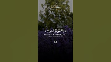 - تلاوة خاشعة للشيخ ماهر المعيقلي من سورة القلم ﴿ نون والقلم وما يسطرون ﴾🌹