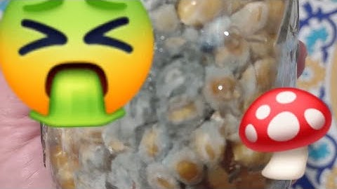 Dealing with Trichoderma Contamination Growing Mushrooms