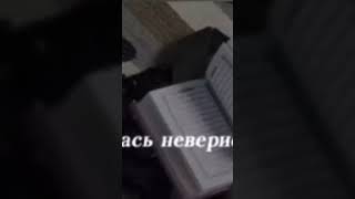 #рек #рекомендации #Муджахиды