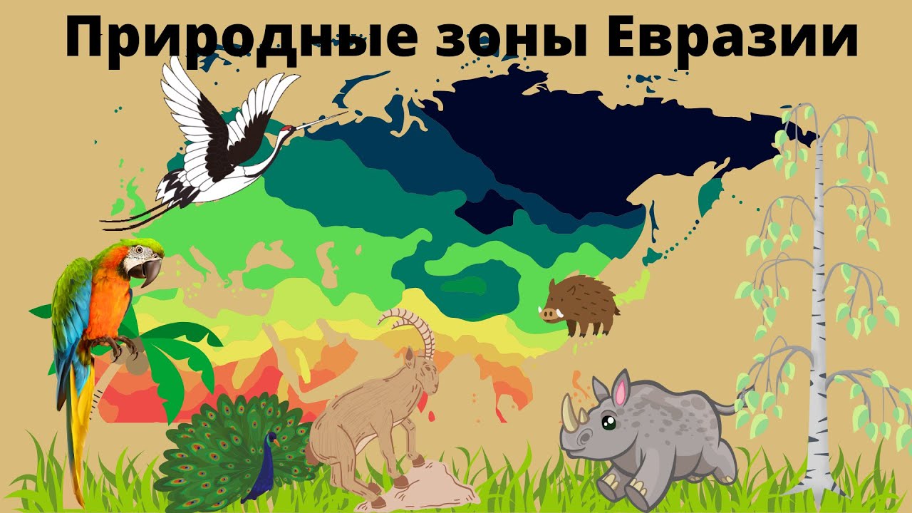 Разнообразие природы евразии. Охрана природы Северной Америки. Природа Евразии рисунок. Евразия картинки. Природные зоны Евразии для дошкольников.