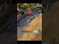 ছেলেটা এতগুলো মাছ পাবে ভাবিনি। #shorts