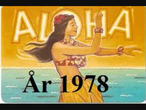 Aloha Hawaii  The Luau Song  (KS-Studio).wmv
