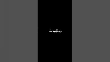 تلاوة مباركة خاشعة بصوت يلامس القلوب #اكسبلور #المصحف #القران #حالات_واتساب #خطبه #راحة_نفسية