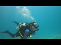Fl keys dive  dry rocks scuba dive with rainbow reef