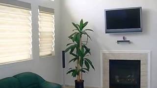 33388 Sand Piper Dr video tour