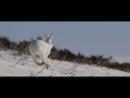 Sullivan's Winter - An Off-Peak Exploration Of Wild Scotland (Full Film)