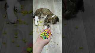 Funny Barsik 🐱 Cat Marbles Satisfying reverse video