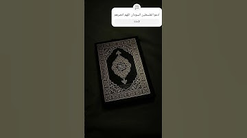 #تلاوة_هادئة #تلاوة_خاشعة #إسلام_صبحي #راحة_نفسية #لايك #اكسبلور #quran
