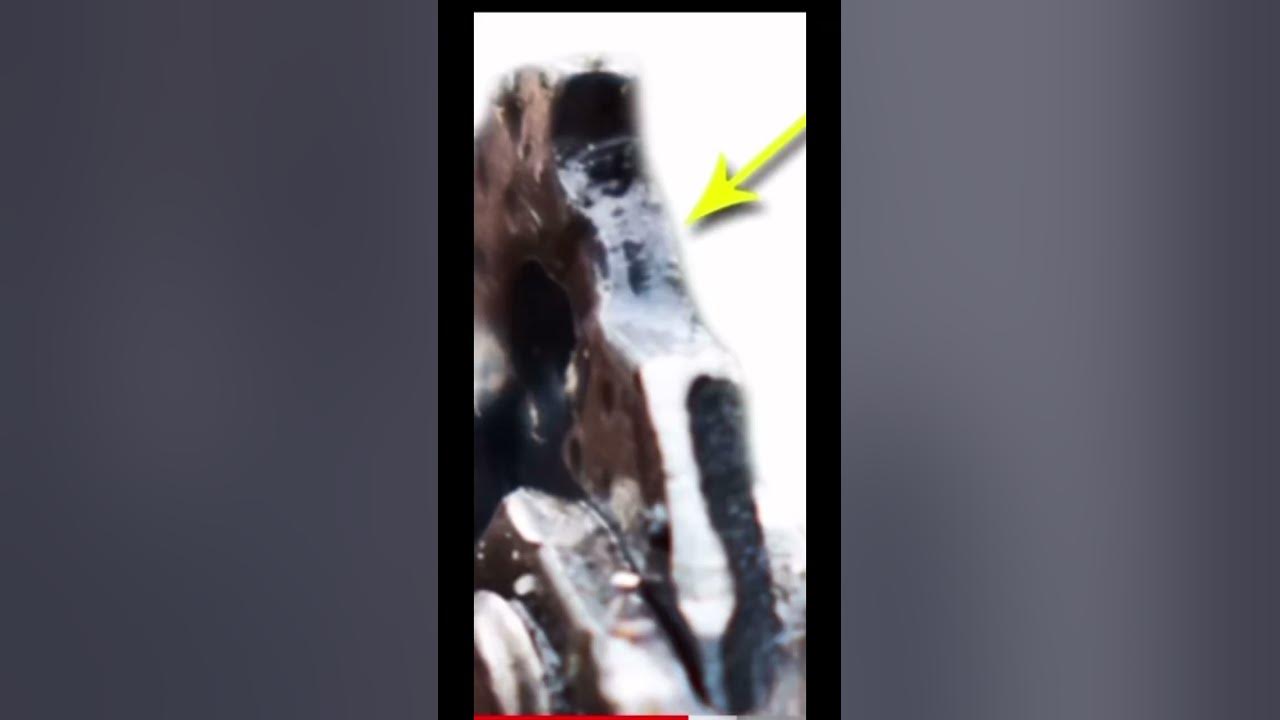 Chainsaw Pitch, Gauge & Drive links Explained! YouTube