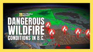 B.C. wildfires explode in size amid dangerous weather conditions | #forecast
