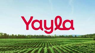 YYLGD | 2026/06 Bilanço Analizi..!!! ( Yayla Agro Gıda Sanayi ve Ticaret A.Ş. )