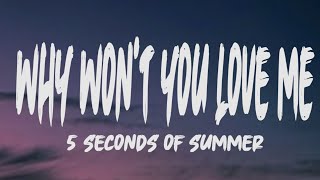 5 Seconds of Summer - Why Won't You Love Mes
