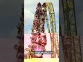 Tragic Roller Coaster Accident: A Family's Response
