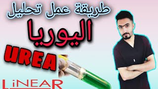 تحليل اليوريا بالدم | blood urea