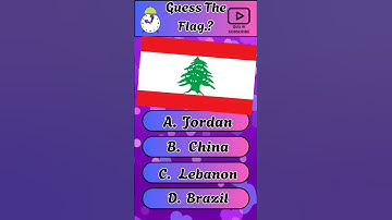 Guess the flag.? #quiz #places #flags #challenge #geography #shortvideo  #shorts