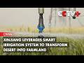 Xinjiang Leverages Smart Irrigation System to Transform Desert into Farmland
