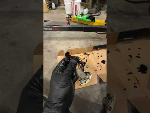 The biggest problem with GM LS engine oil pressure? #mechanic #car #diy #automobile #ls #chevy