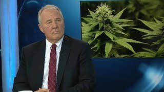 Bill Blair On Cannabis And Borders Primetime Politics