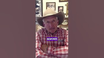 After groundwork, how should I introduce my mule to a packsaddle?  #muleranch #mules #donkeys