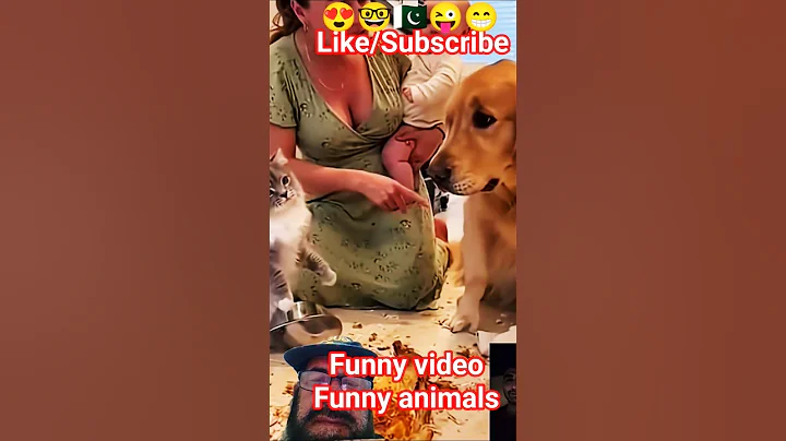 Video 11807791: cat kitten pets funnycat, cat pets funnycats dog, cat kitten pets funny