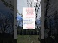 Verses By Multiples Of 231 Part 11
