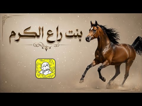 بنت راع الكرم اداء ماجد الرحيمي 2026 حصرياً