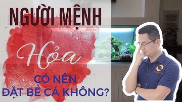 82 Người Mệnh Hỏa có nên đặt Bể Cá không? | Tuấn Phong Thủy