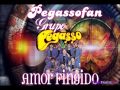 GRUPO PEGASSO NUESTRA DECISION