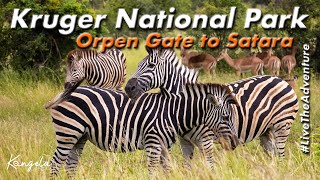 Kruger National Park Day Trip | Orpen Gate to Satara Rest Camp