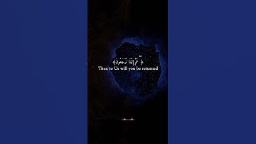 #القارئ عبد الرحمن مسعد #المصحف #تلاوة_جميلة #راحة_نفسية