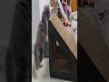 #kitten #cats #貓 #猫 猫が喜ぶ映像 公主 27