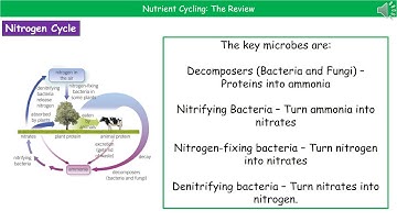 OCR Gateway A B4.1.6  - Nutrient Cycles