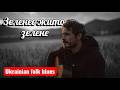 Зеленеє жито зелене Український Slow Blues Душевна сучасна версія народної пісні