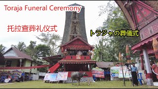 Toraja Funeral Ceremony: A Unique Celebration of Life and Death