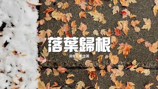 李佳薇 - 落葉歸根『幾分憂鬱幾分孤單 都心甘情願，我的愛像落葉歸根，家唯獨在你身邊。』【動態歌詞MV】