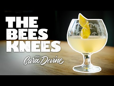 Video: Jak Udělat Včelí Koktejl