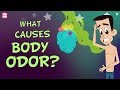 What Causes Body Odor The Dr Binocs Show Best Learning Videos For Kids Peekaboo Kidz What Causes Body Odor The Dr Binocs Show Best Learning Videos For Kids Peekaboo Kidz