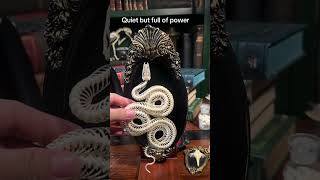 Life leaves, art stays #skeleton #taxidermy #gothicdecor #vibecheck #oddities
