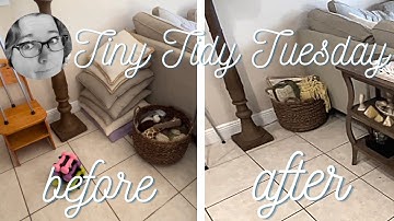 🍃 Let’s “Jouge” Some Things! | Tiny Tidy Tuesday Ep19 | Declutter with Me 2023