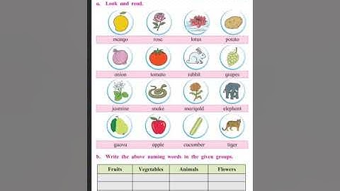2nd STD English Unit 2- 2.2 Activity Time