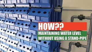 Water level in Vertical Urban Mud Crab Farming System without stand-pipe explained