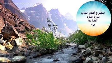 استخراج أحكام التلاوة - سورة البقرة - الآية 26 - ج 4