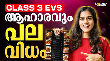 Class 3 EVS | To The World Of Animals | Most Important Topic | Exam Winner Class 3