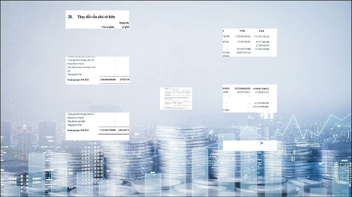 Dđặc điểm hàng hóa của công ty v.l.c năm 2024