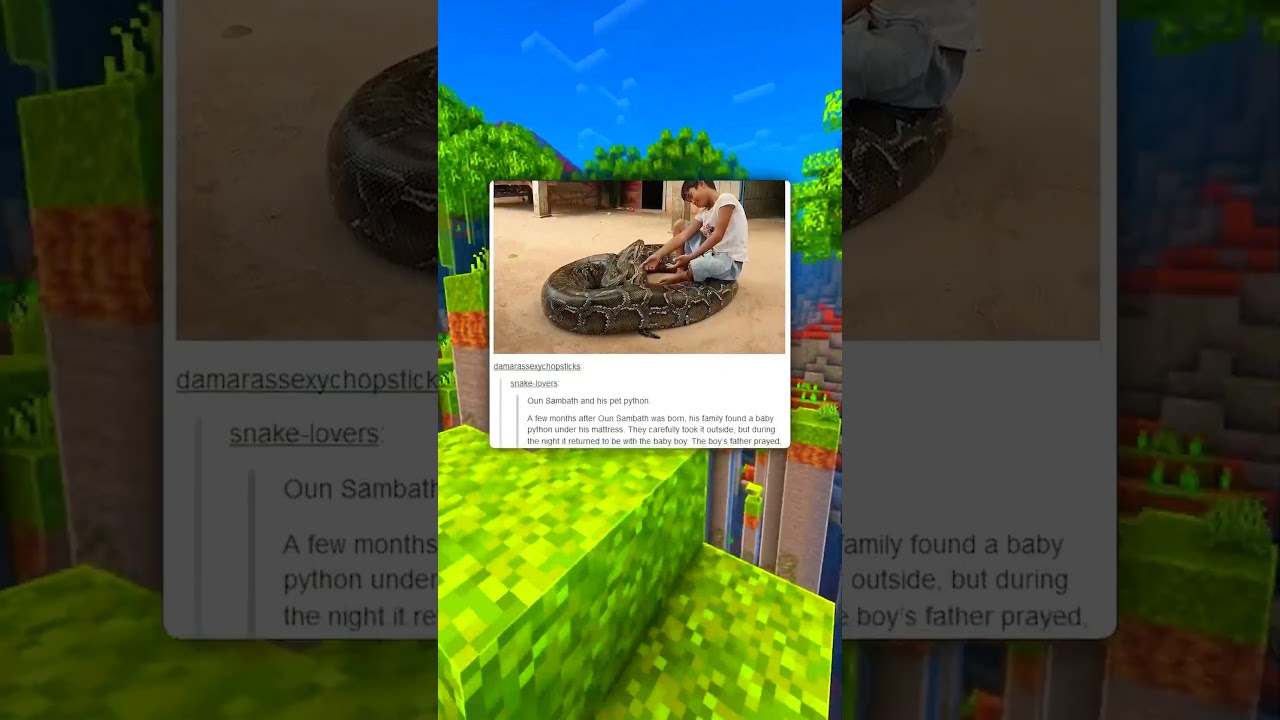 Необычная дружба 🐍