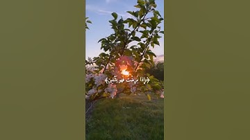 سورة الشعراء للقارئ عبد الباسط عبد الصمد /  ﴿الَّذِي خَلَقَنِي فَهو يَهْدِينِ﴾ 🤍 .